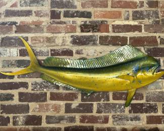 43in Dorado, Mahi Mahi Fish Mount
