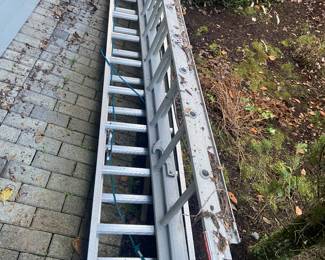 Several aluminum ladders