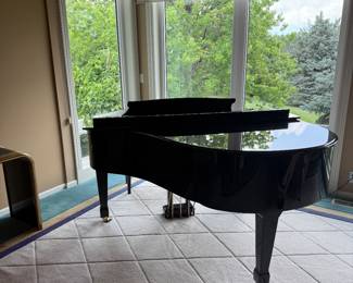 Suzuki Piano Player/Floppy Disk