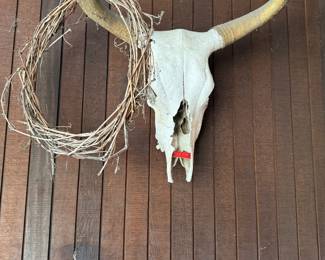 steer head