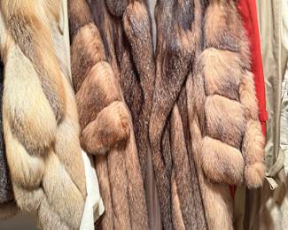 beautiful furs