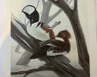 John A. Ruthven LimitedEdition Wildlife Lithographs Hooded Mergansers American Bald Eagle