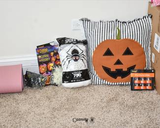 221Family Room Basement