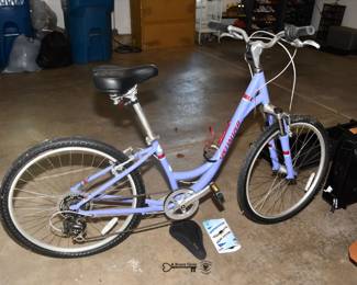 008Some Highlights Hinsdale Estate Sale