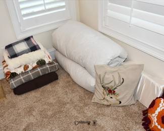 245Family Room Basement