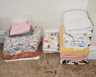 257Family Room Basement