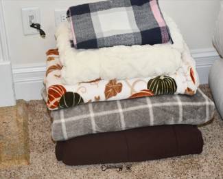 246Family Room Basement