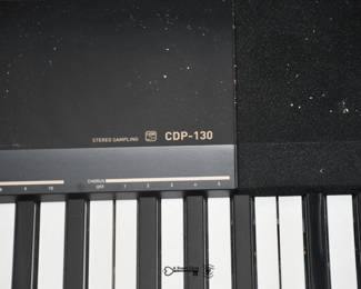 241Family Room Basement