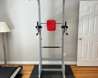 S89 - $60 - Relife Power Tower. Push-Up, Pull-Up, and Dip Station. Will need to be disassembled to remove from the home.