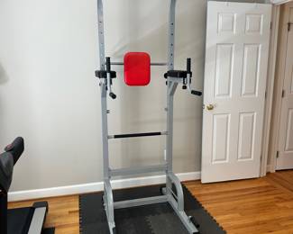 S89 - $60 - Relife Power Tower. Push-Up, Pull-Up, and Dip Station. Will need to be disassembled to remove from the home.