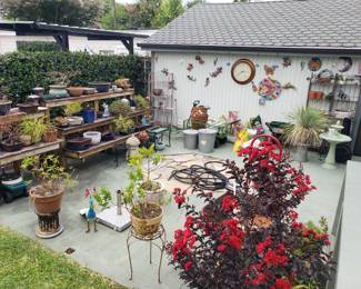 BEAUTIFUL GARDEN FULL OF PLANTS, POTS, BONSAI, TALAVERA & DECOR