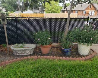 PLANTS