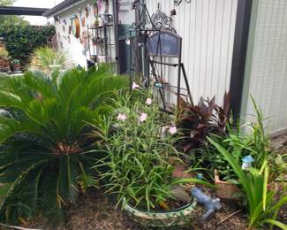 PLANTS