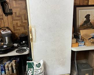 Nice upright freezer