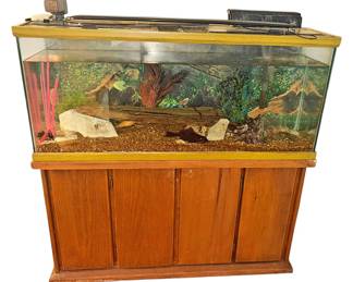 50 Gal Aquarium FULLY SET UP