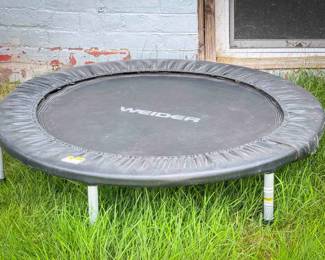 WEIDER Mini Trampoline
