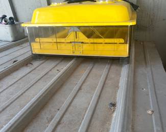 Incubator
