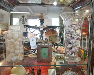 Rare Shells and collectibles