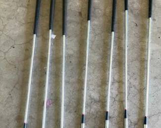 Classic Gold Golf Club Set wBag