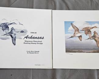 1988 -89 Arkansas Stamp Print 2242/7200 Cache River Pintails by Maynard Reece