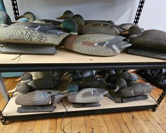 Duck Decoys