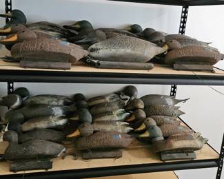 Duck Decoys