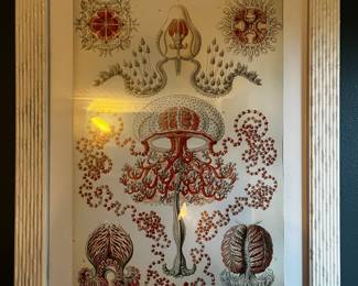 01 Ernst Haekel Print Red Cephalopods