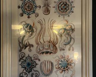 02 Ernst Haekel Print Blue Cephalopods