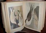 AUDOBON BOOK