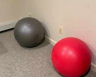 Exercise balls