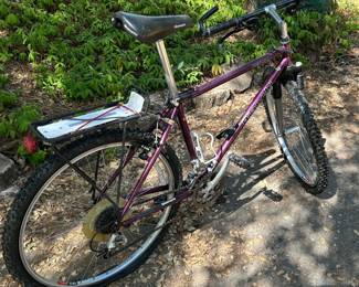 Bianchi Denali Mountain Bike – Front Suspension + Rear Rack