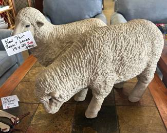 Lambs Pair