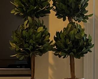 Table Top Topiaries