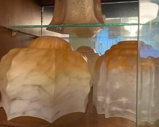 Vintage Lamp Globes