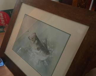 Large Antique Fish Print