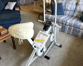 Ready for a summer body with this work out bike?