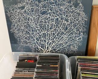 Cds