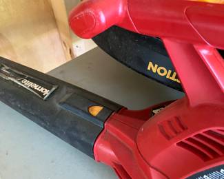 Home lite blower
