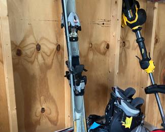 Skis Dewalt weed walker