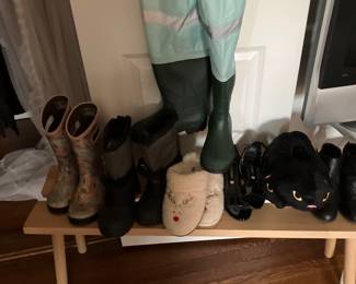 Shoes and waders