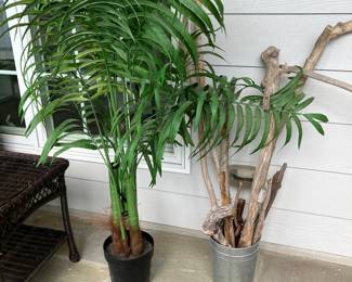 Plants