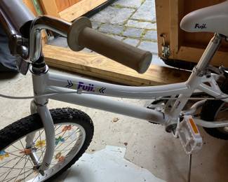 Fuji bike