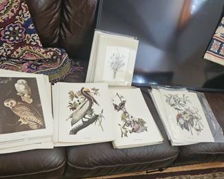 Many prints suitable for framing.