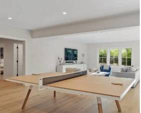 ping pong