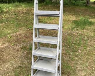 Ladder shelf