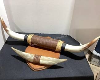 Mounted horn display