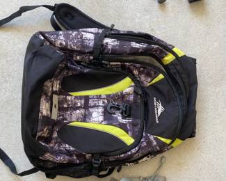 C46 - $20. High Sierra Backpack.