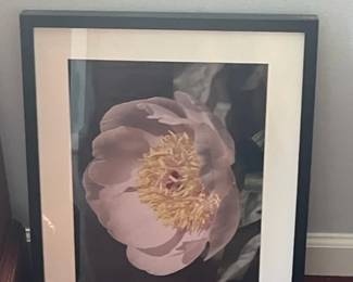 Framed Art