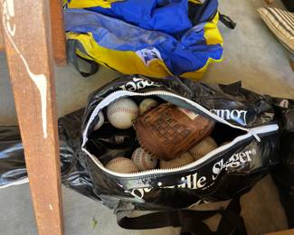 Bats, baseballs, glove, and carrying case