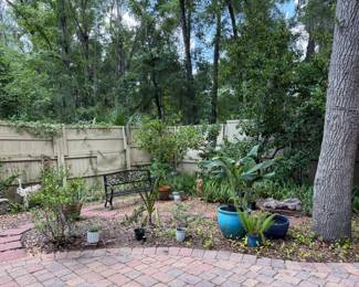 Plants